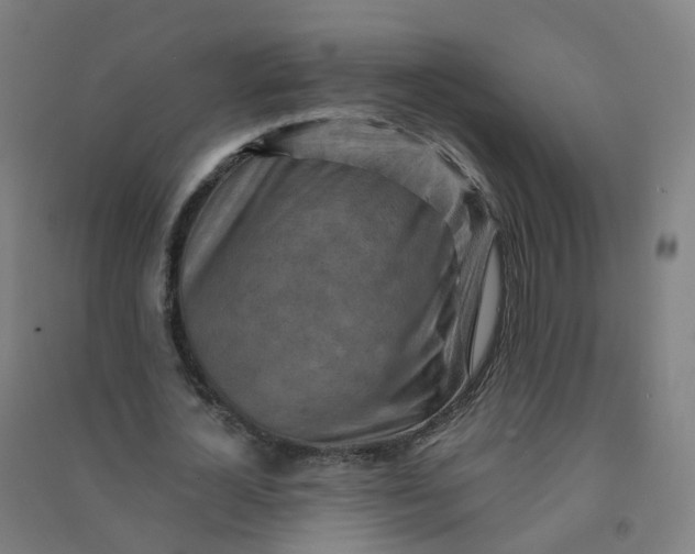 X0000090930724200708201827