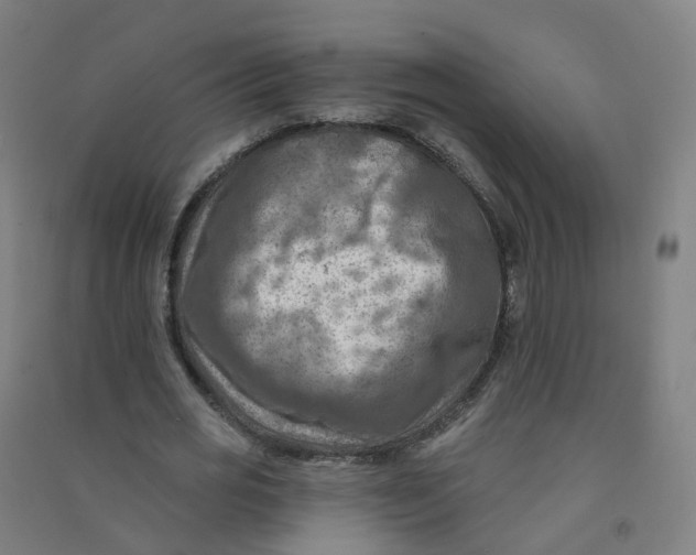 X0000090930725200708201827