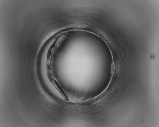 X0000090930726200708201827