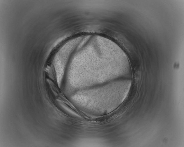 X0000090930727200708201827