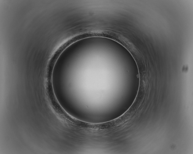 X0000090930728200708201827