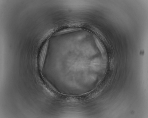 X0000090930729200708201827