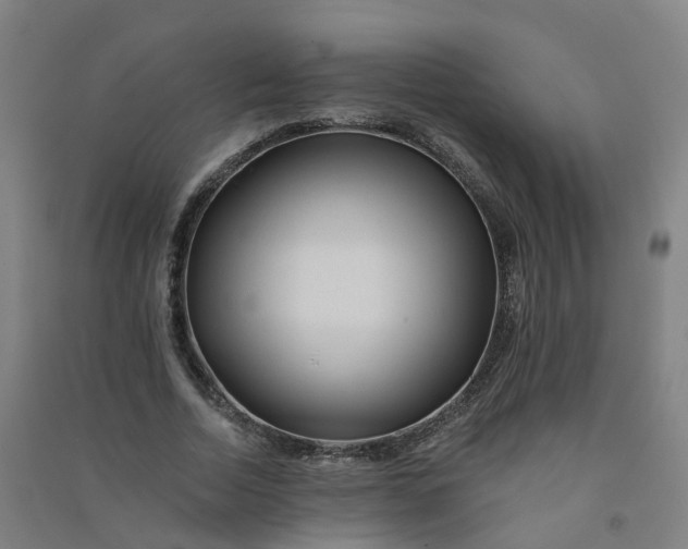 X0000090930730200708201827