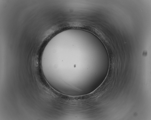 X0000090930731200708201827