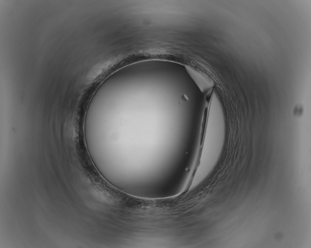 X0000090930732200708201827