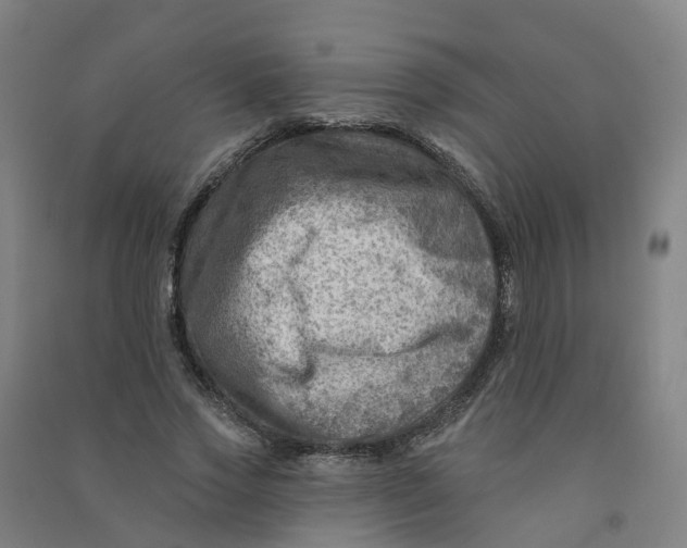 X0000090930733200708201827