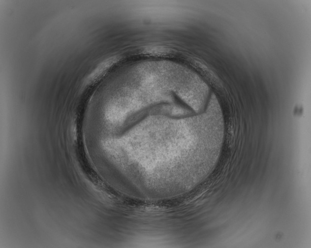 X0000090930734200708201827