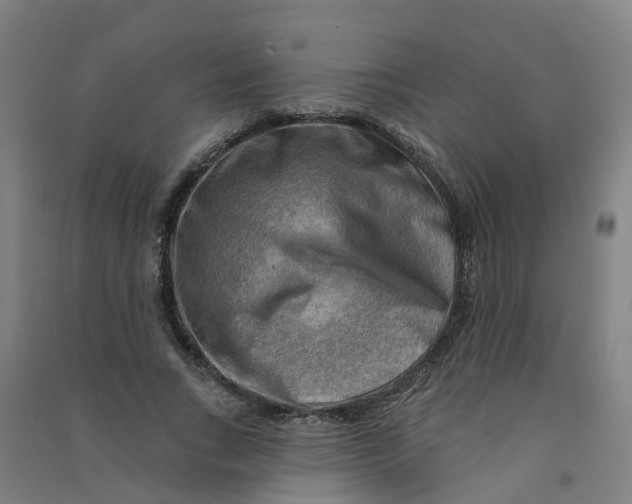 X0000090930735200708201827