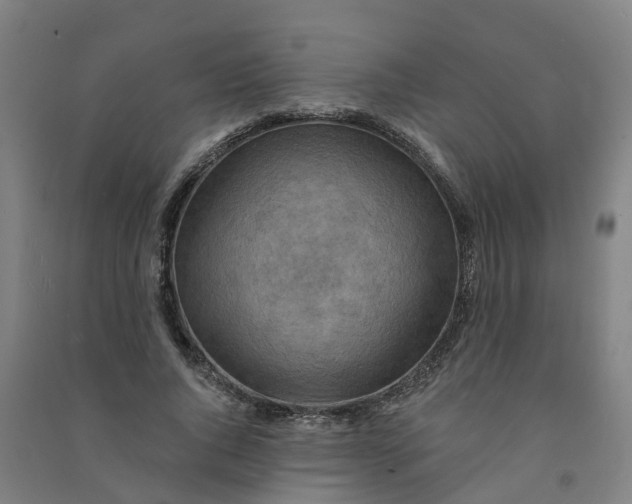 X0000090930736200708201827