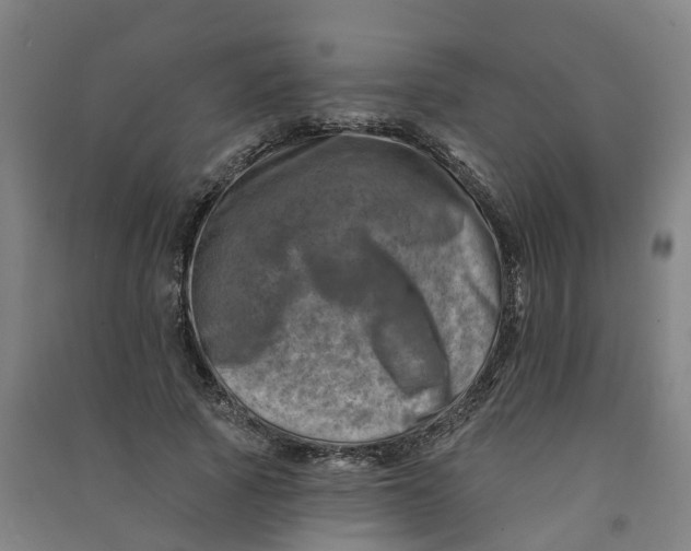 X0000090930737200708201827