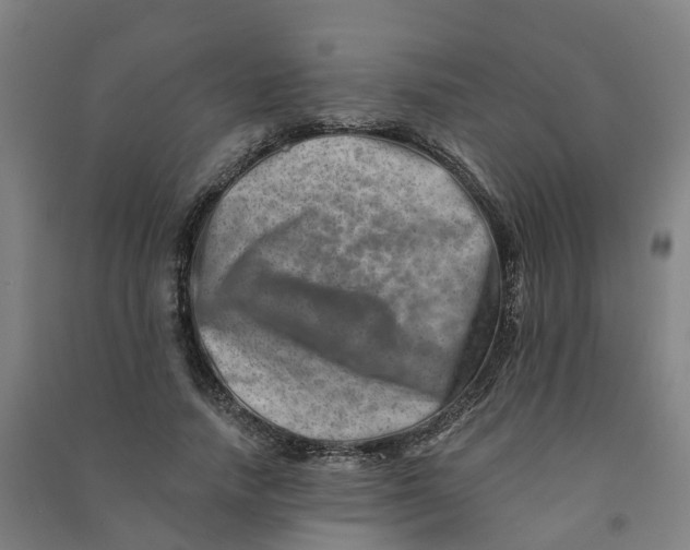 X0000090930738200708201827