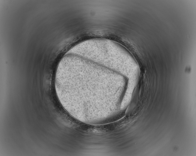 X0000090930739200708201827