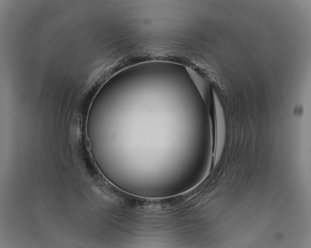 X0000090930740200708201827