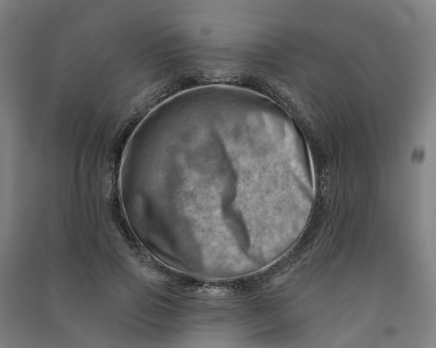 X0000090930741200708201827