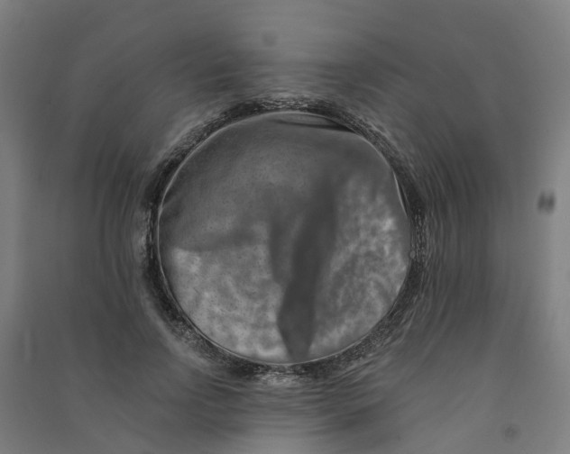 X0000090930742200708201828