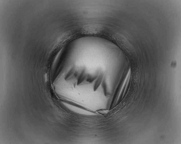 X0000090930743200708201828