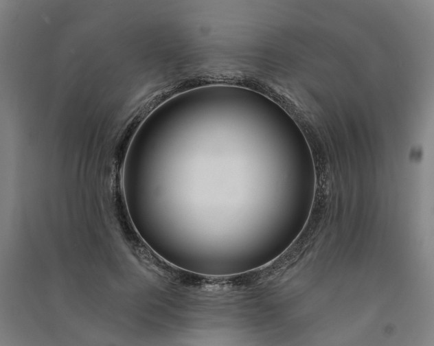 X0000090930744200708201828