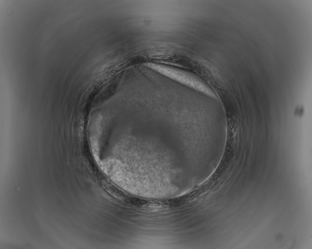 X0000090930745200708201828