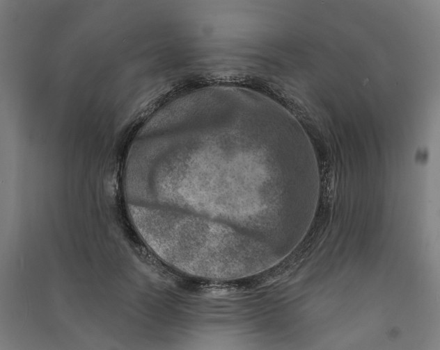 X0000090930746200708201828