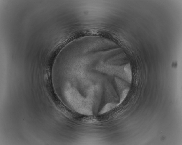 X0000090930747200708201828