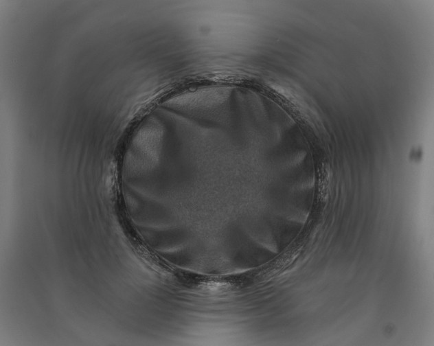 X0000090930748200708201828