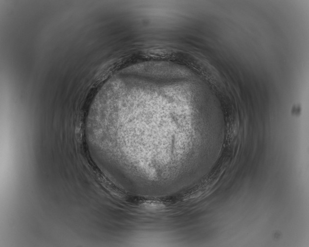 X0000090930749200708201828