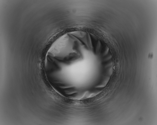 X0000090930750200708201828