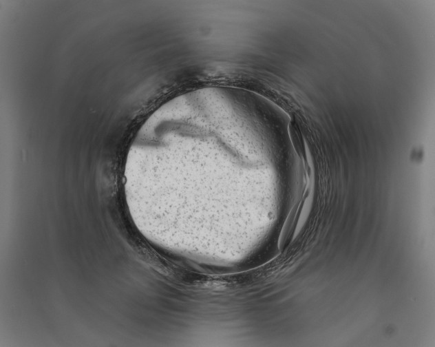 X0000090930751200708201828