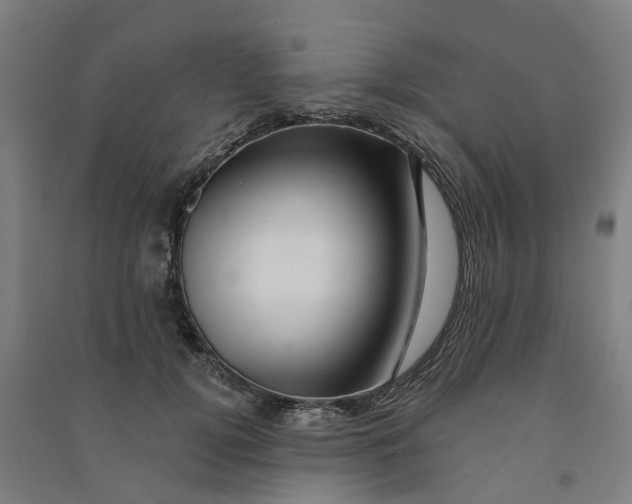 X0000090930752200708201828