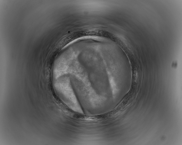 X0000090930753200708201828