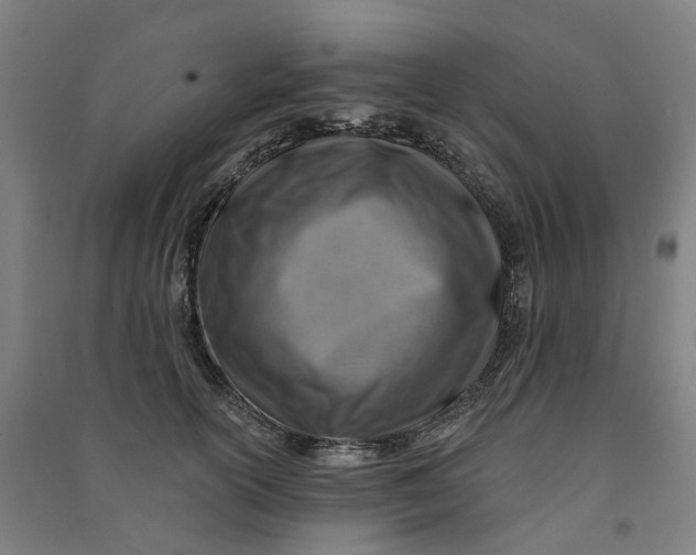 X0000090930754200708201828