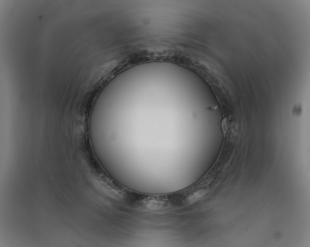 X0000090930756200708201828