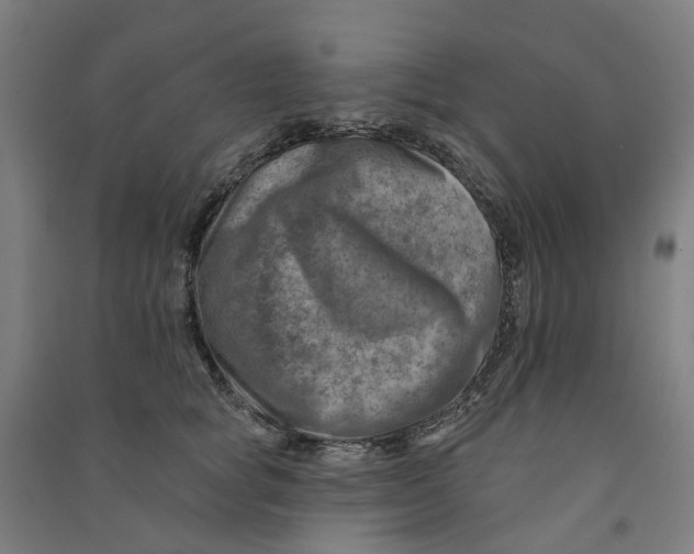 X0000090930757200708201828