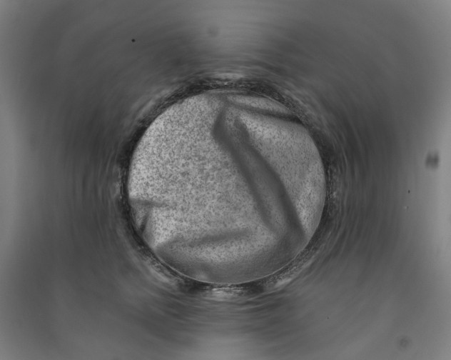 X0000090930758200708201828