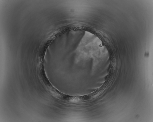 X0000090930759200708201828