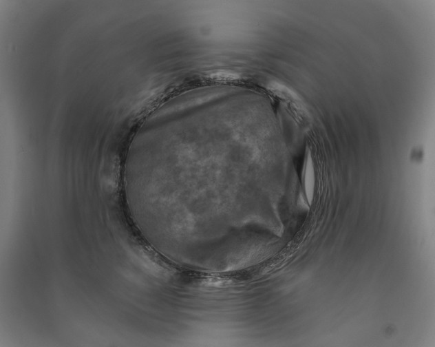 X0000090930760200708201828