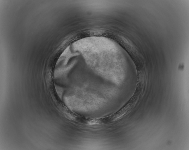 X0000090930761200708201828