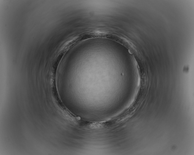 X0000090930762200708201828