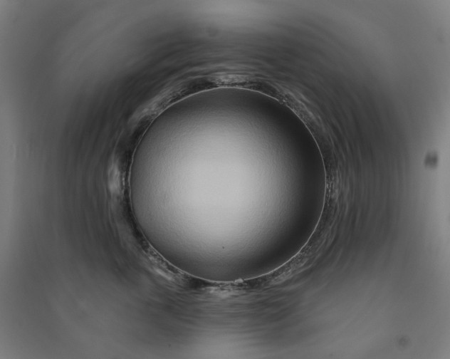 X0000090930763200708201828