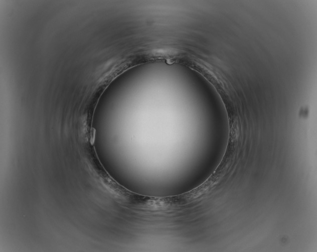 X0000090930764200708201828