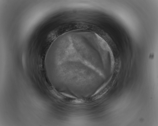 X0000090930765200708201828