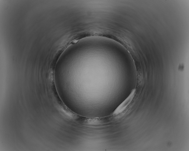 X0000090930766200708201828