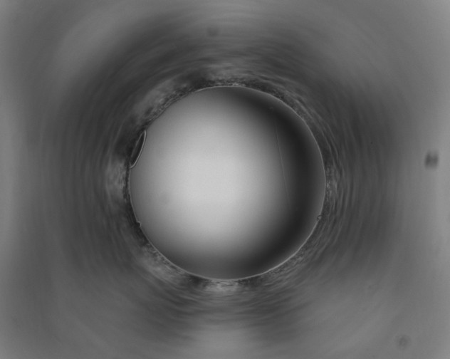 X0000090930767200708201828