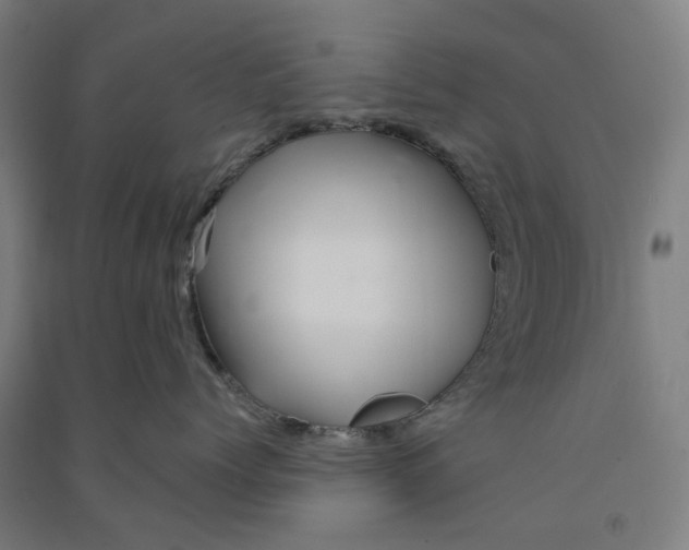 X0000090930768200708201828