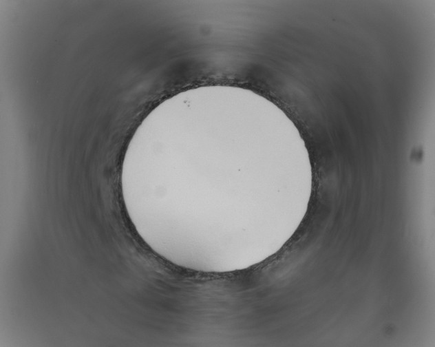 X0000090930769200708201827