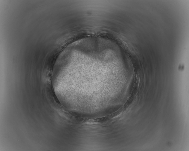 X0000090930770200708201827