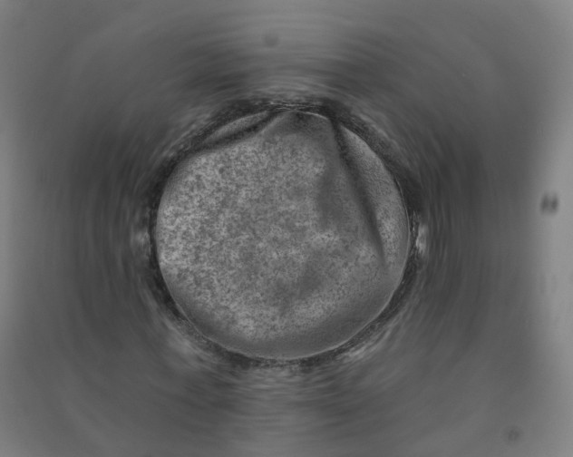 X0000090930771200708201827