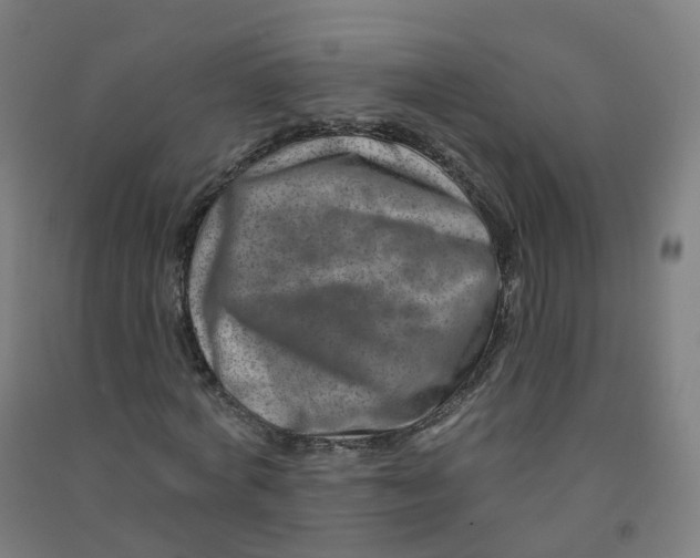 X0000090930772200708201827