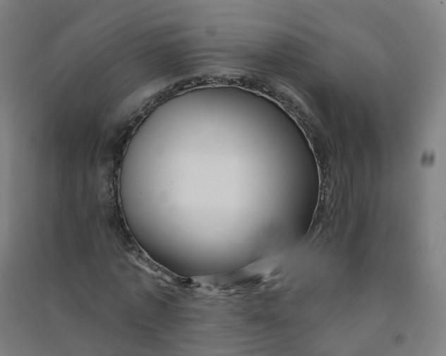 X0000090930773200708201827