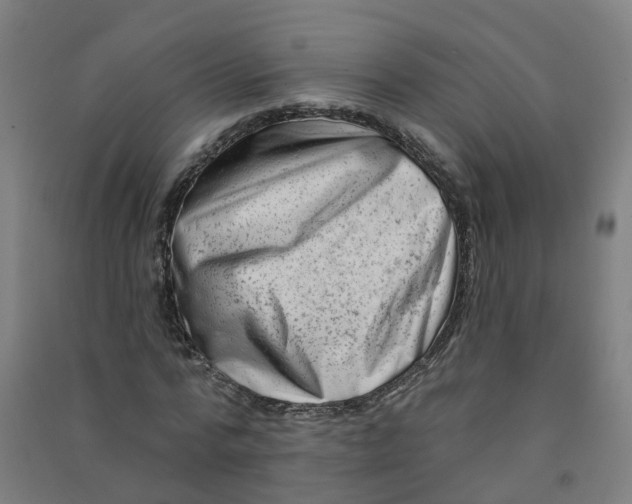 X0000090930776200708201827